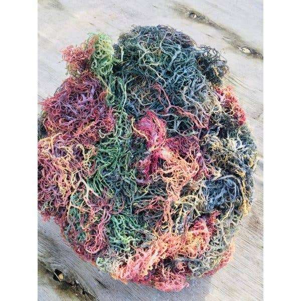 Herbtobody Full Spectrum Sea Moss Wildcrafted Sun-Dried 10lb