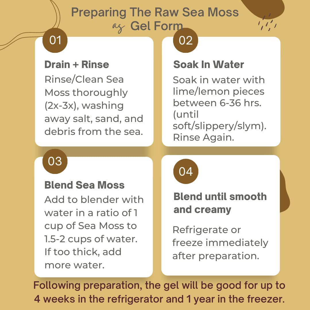 Herb to Body Gold Irish Sea Moss Wildcrafted Dried Algae