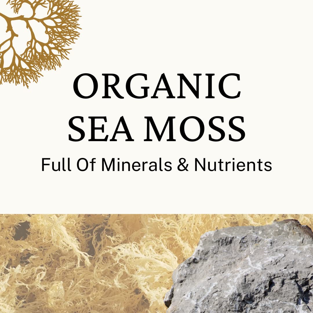Herb to Body Gold Irish Sea Moss Wildcrafted Dried Algae