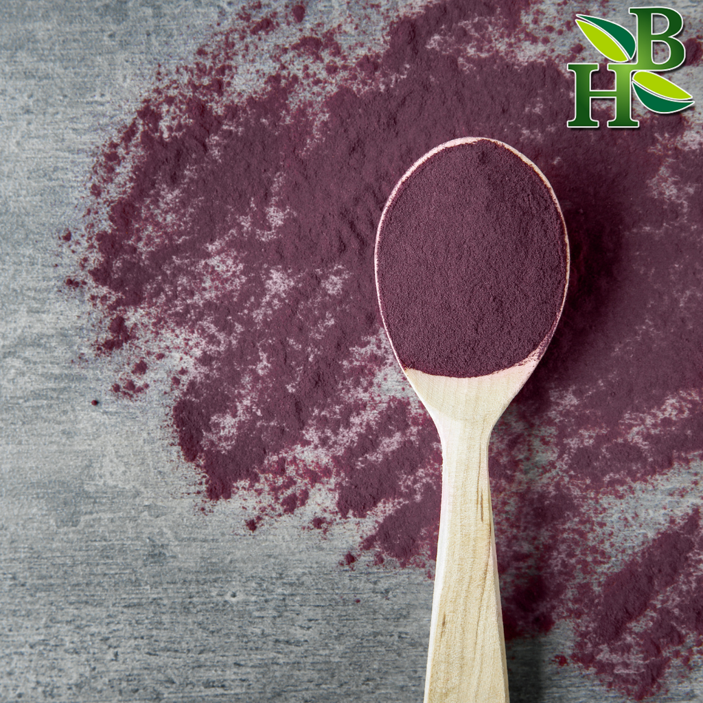 Herb to Body Sambucus Nigra Elderberry Powder Dried Fruit