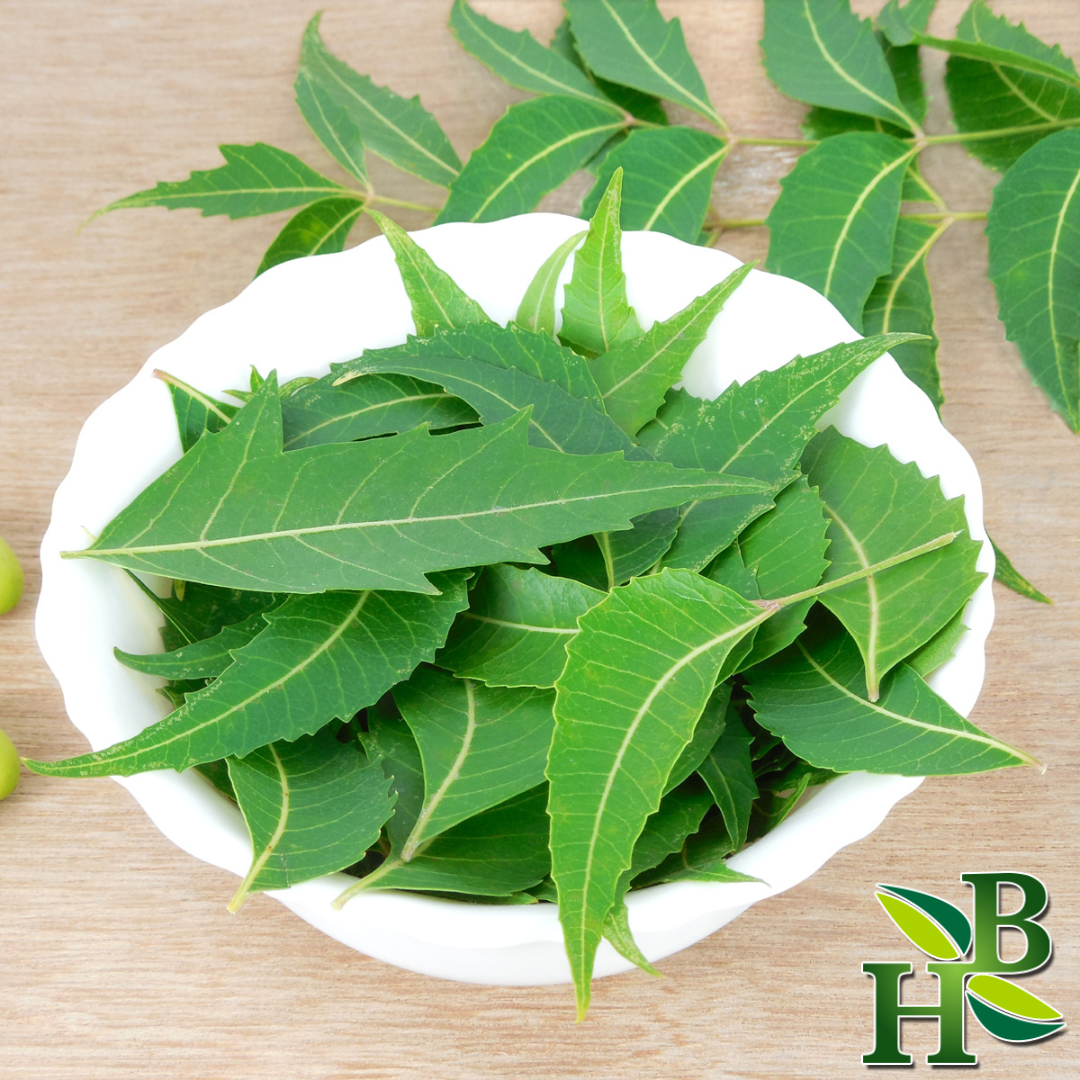 Herb to Body Neem Leaves Powder Fine Ground Botanical