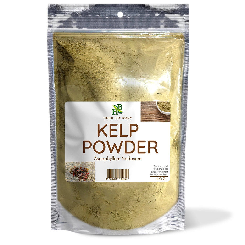 Herb To Body Micronized Kelp Powder North Atlantic Brown Seaweed