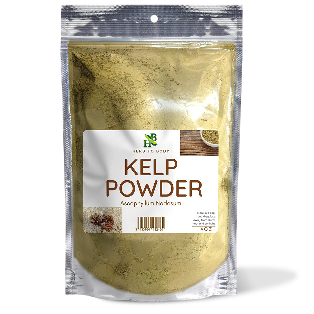 Herb To Body Micronized Kelp Powder North Atlantic Brown Seaweed