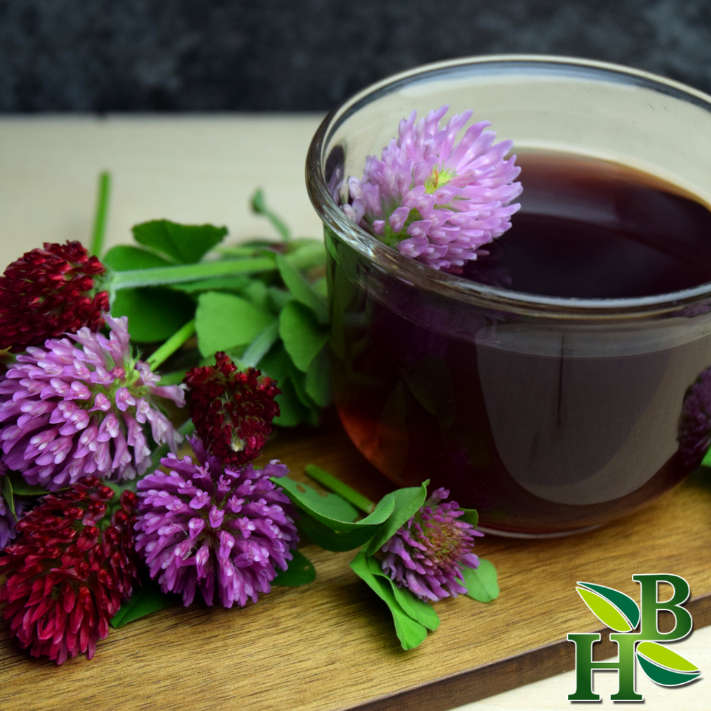 Herb To Body Red Clover Herb Cut & Sifted 4 oz