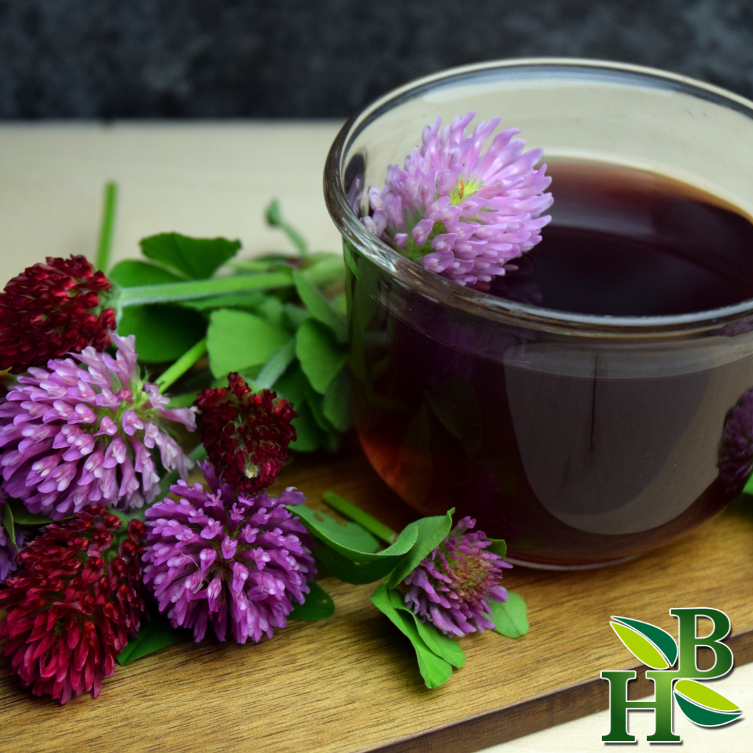 Herb To Body Red Clover Herb Cut & Sifted 4 oz