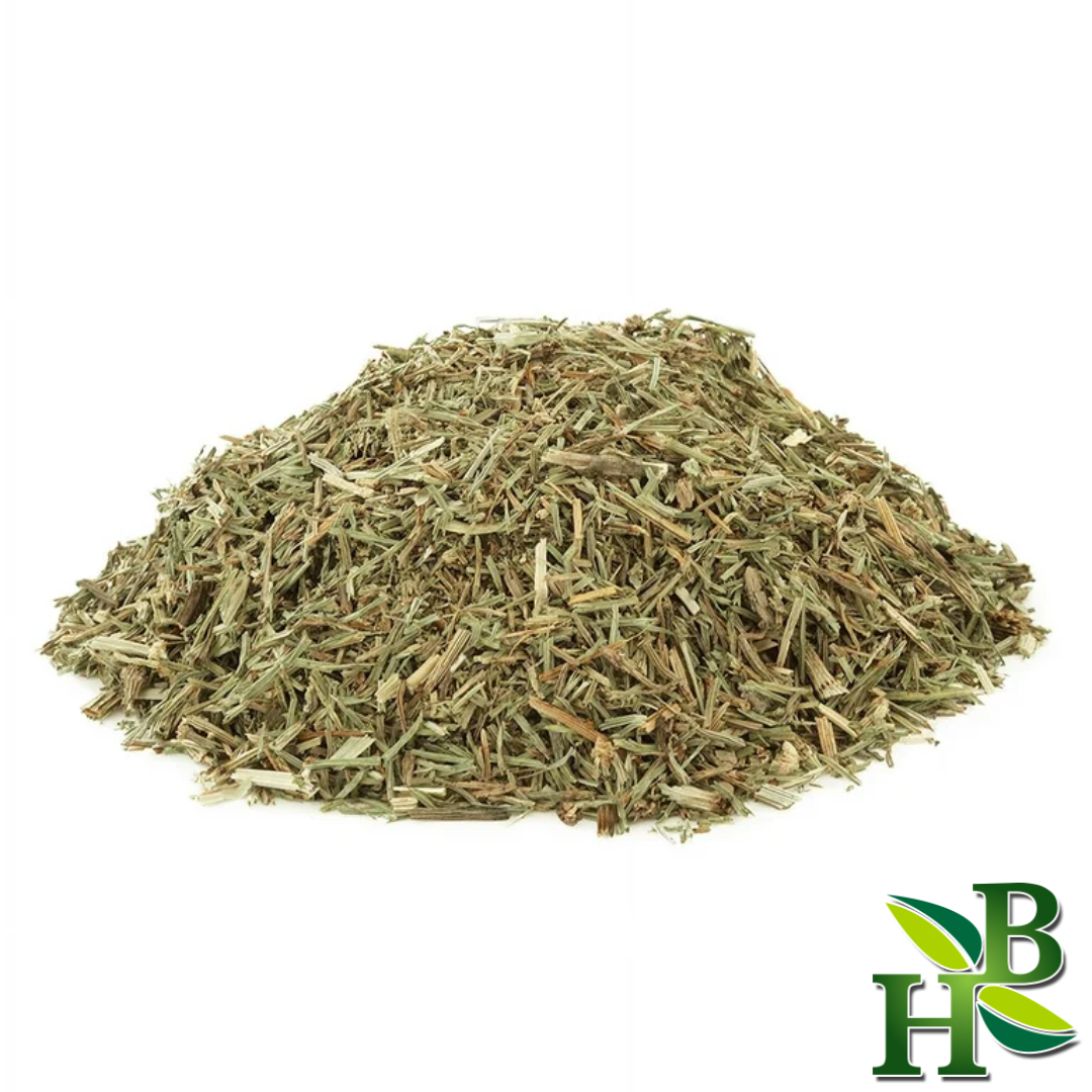Herb To Body Shavegrass Horsetail Cut Sifted Herb 4 oz