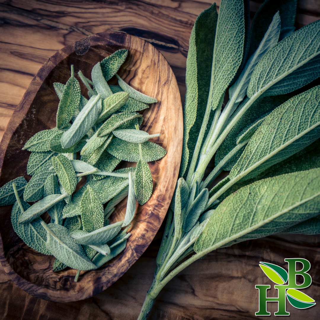 Herb To Body Sage Leaf Cut and Sifted Herb 4oz