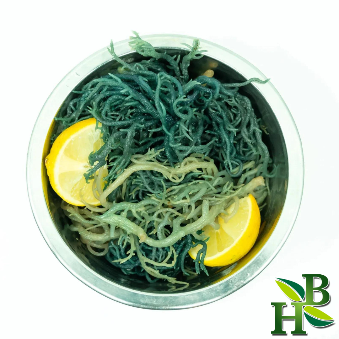 Herb to Body Green Irish Sea Moss Wildcrafted 4oz