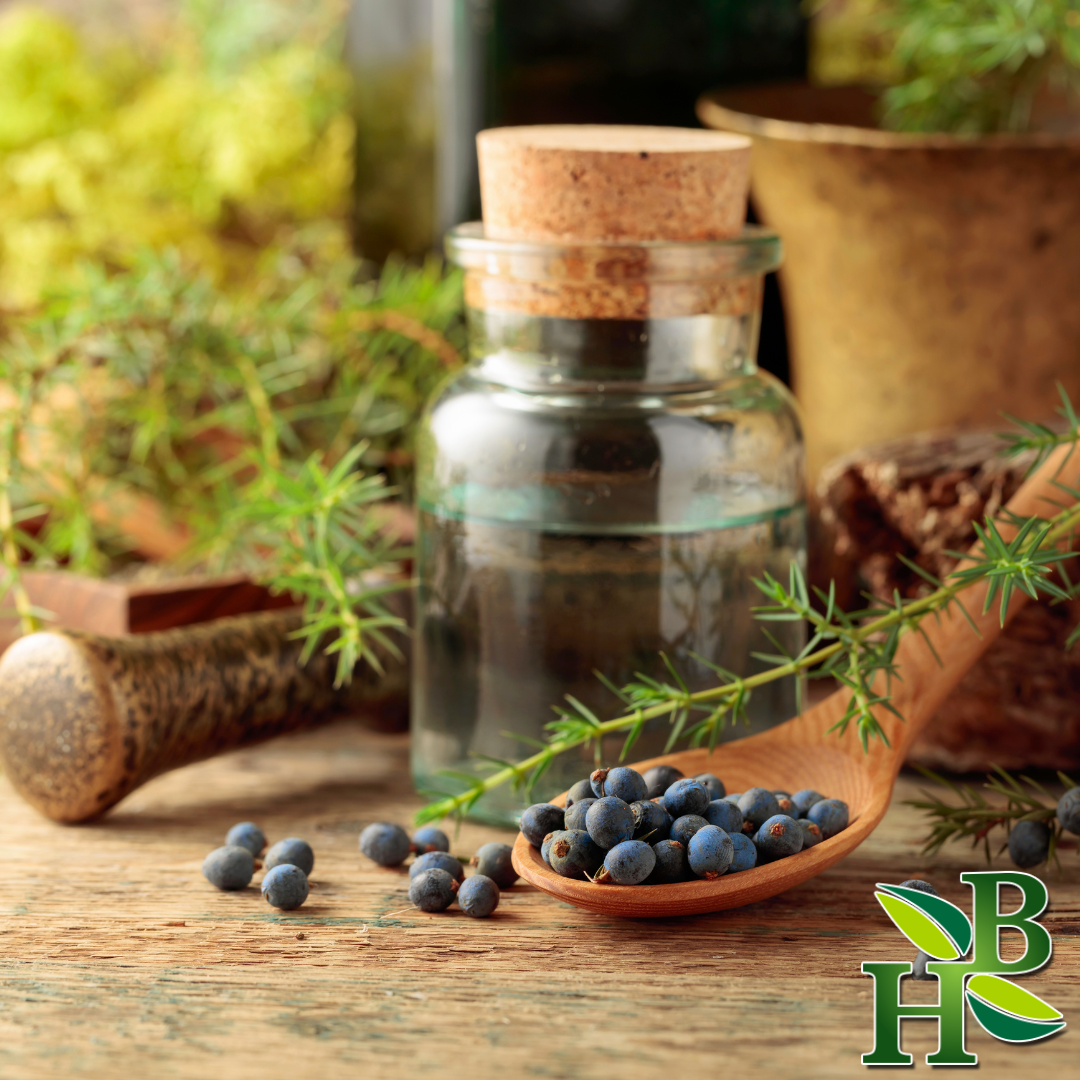Herb To Body Juniper Berries Whole Dried 4oz