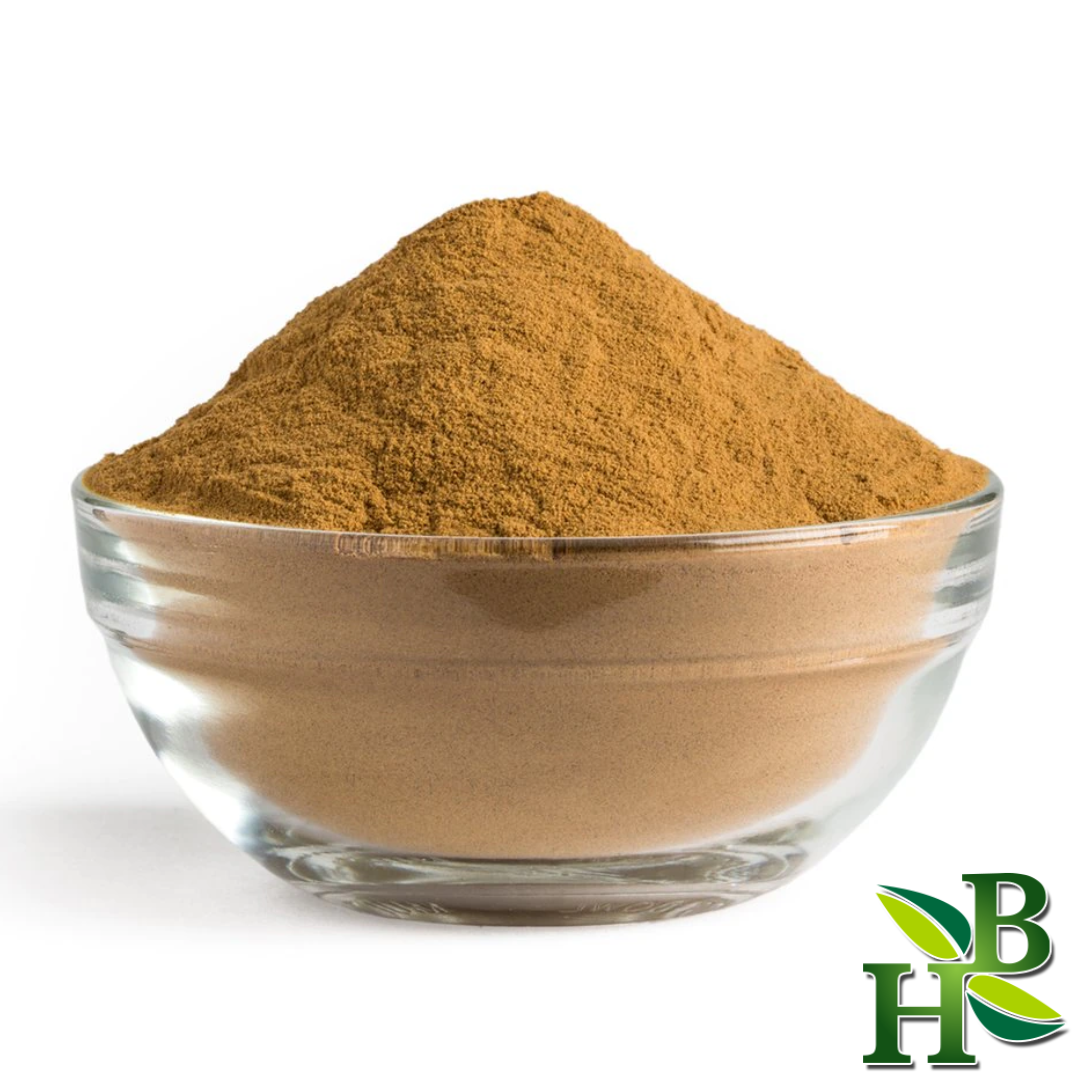 Herb to Body Reishi Mushroom Powder Dual-Extracted Adaptogenic Supplement