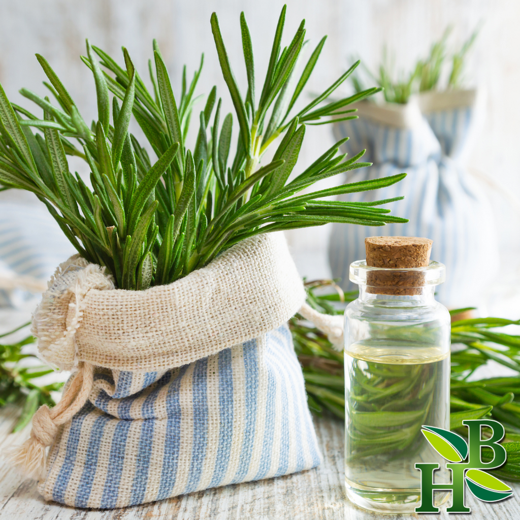 Herb To Body Rosemary Leaf Whole Dried Moroccan 4oz