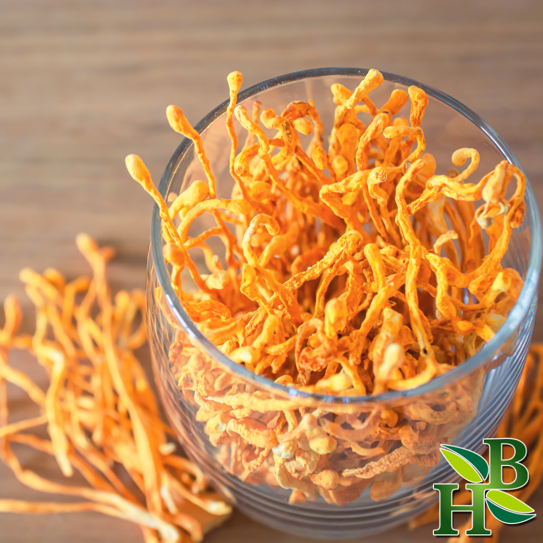 Herb To Body Cordyceps Mushroom Powder Finely Milled 4oz