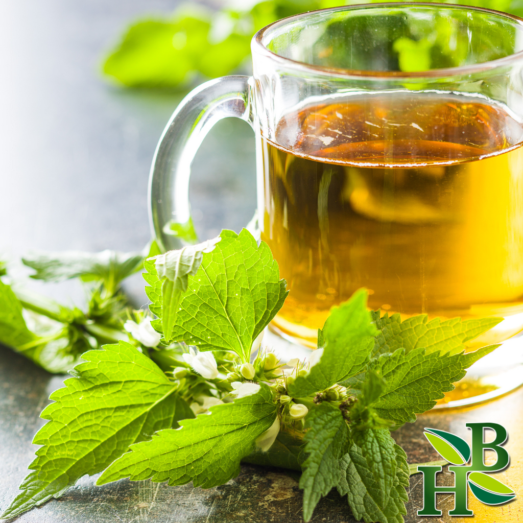 Herb To Body Nettle Leaf C/S Herbal Tea 4oz