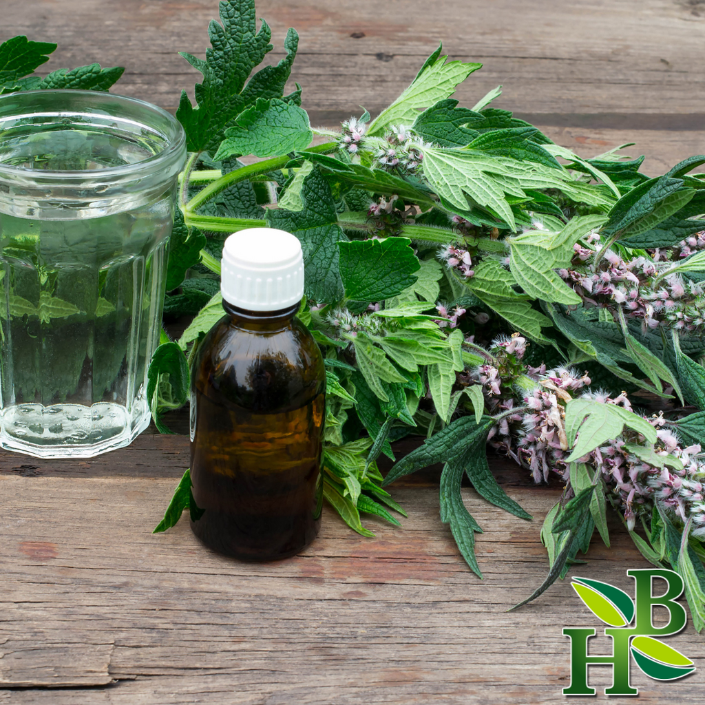 Herb To Body Motherwort Cut and Sifted Dried Herb