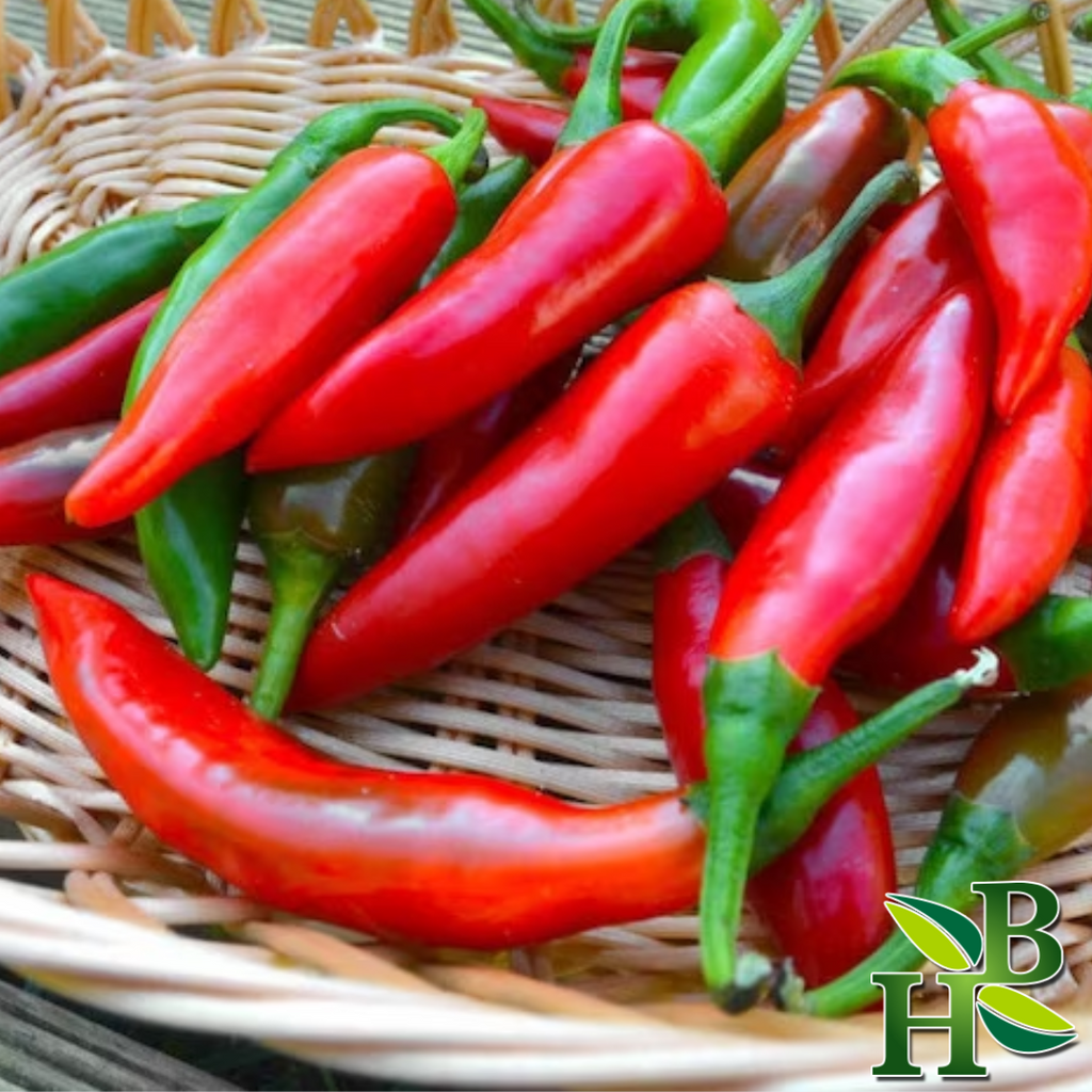 African Bird Pepper Whole Dried Chili Peppers 150,000 SHU