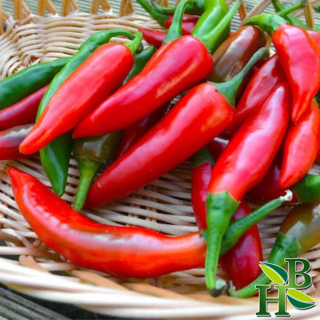 African Bird Pepper Whole Dried Chili Peppers 150,000 SHU