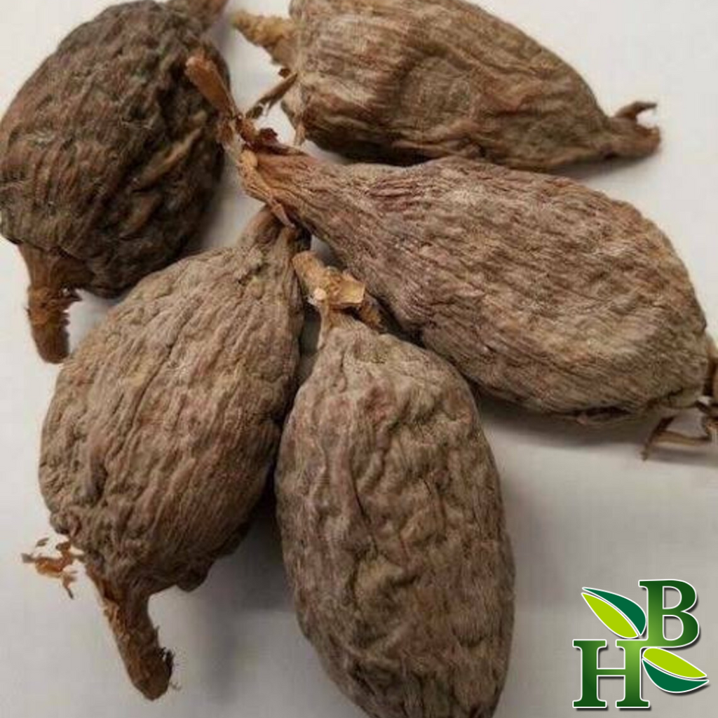 Herb to Body Alligator Pepper West African Spice 5 Count
