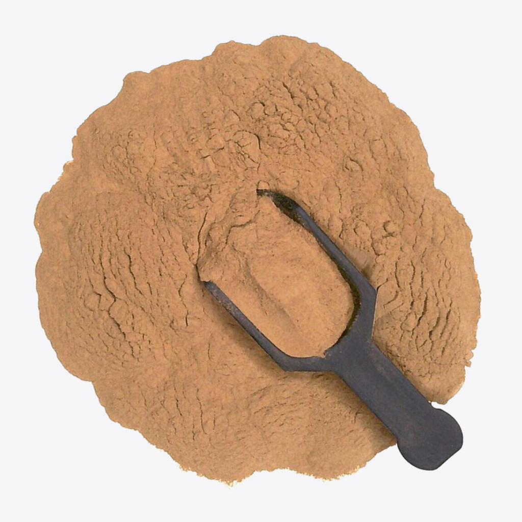 Herb To Body Lobelia Inflata Herb Powder 4 oz