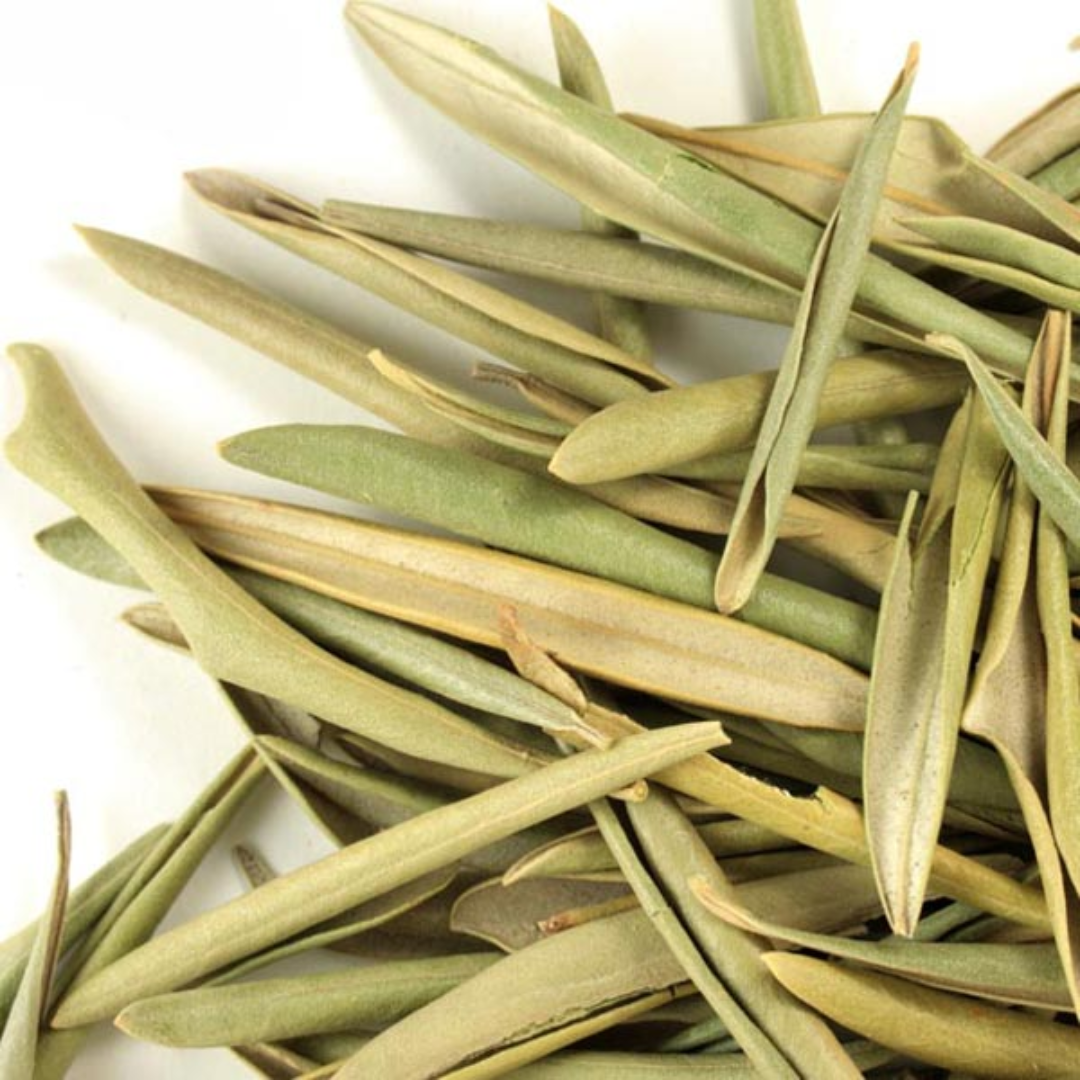 Herb To Body Whole Olive Leaf Dried Botanical 4oz