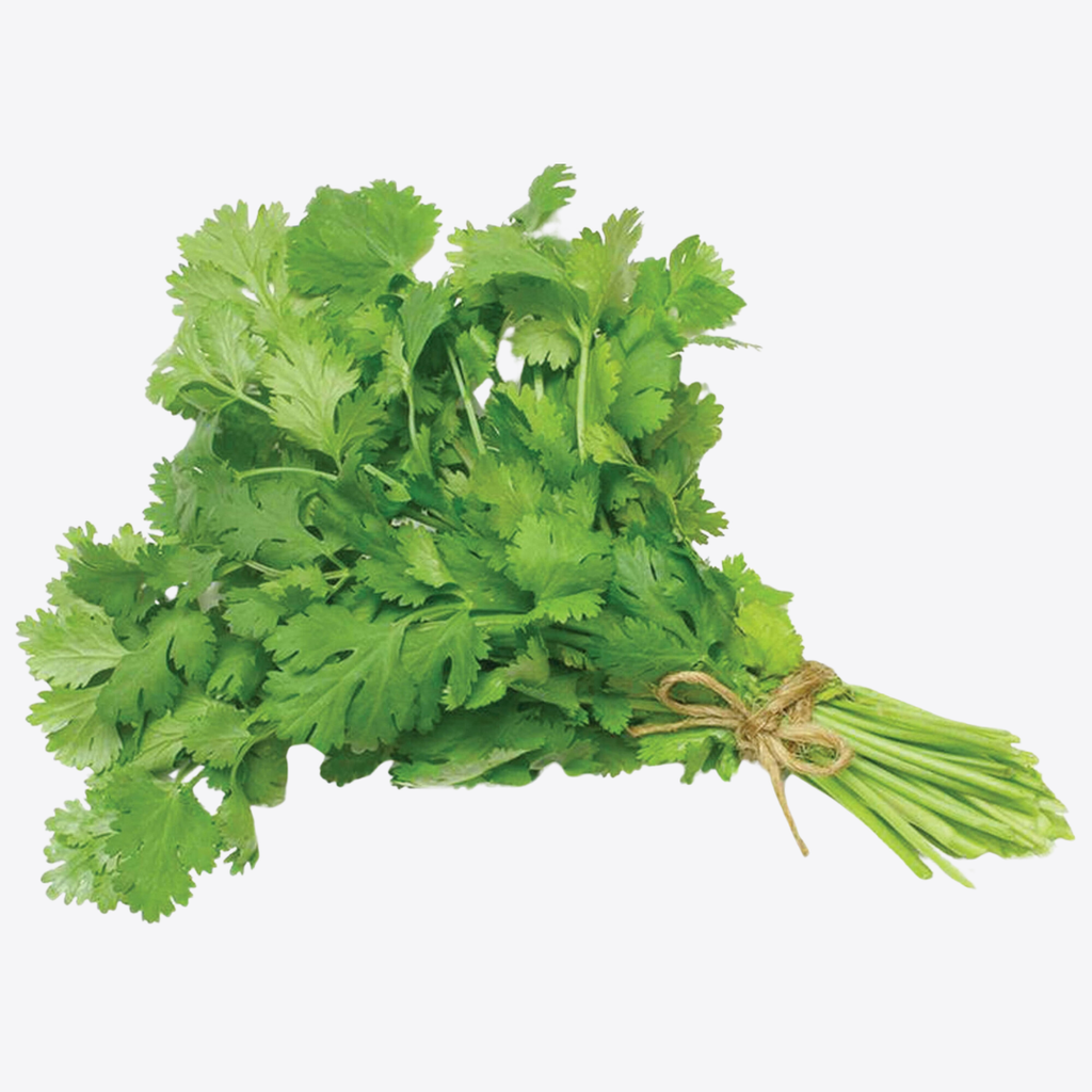 Herb to Body Cilantro Leaf Cut & Sifted Dried Herb 4oz