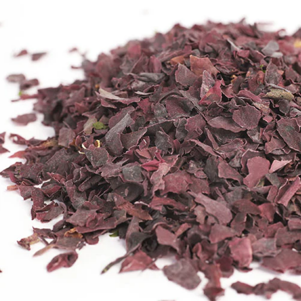 Wildcrafted Atlantic Dulse Flakes Red Sea Vegetable Supplement