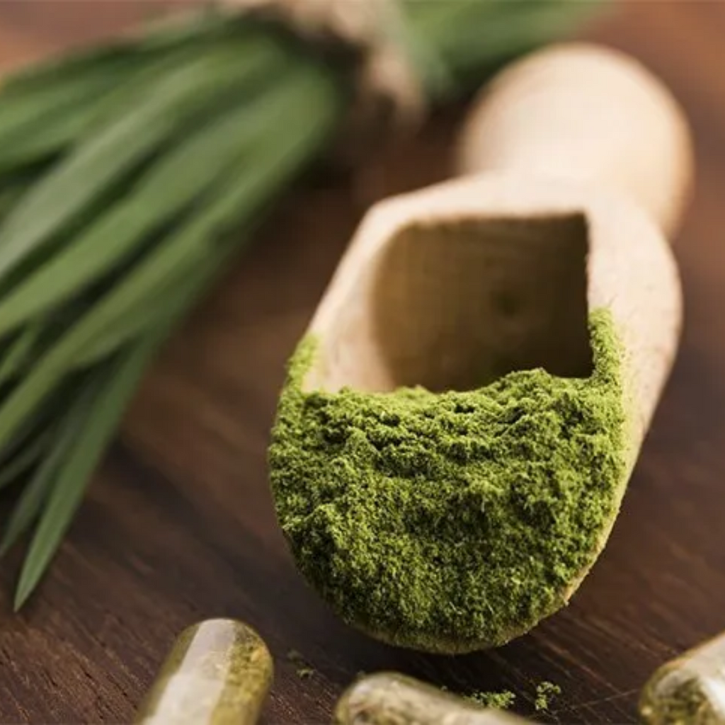 Herb To Body Barley Grass Powder Organic 4oz