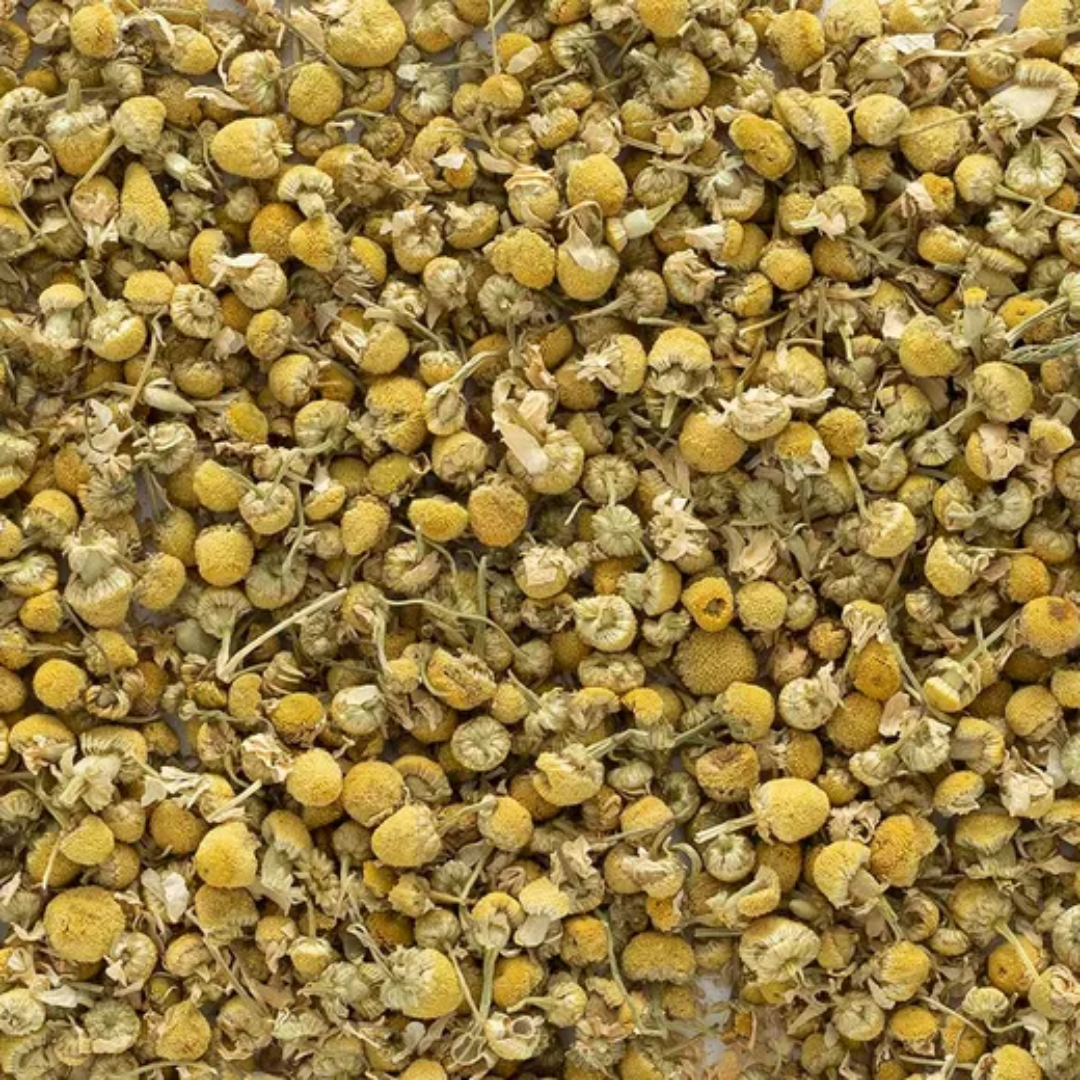 Herb To Body Whole Egyptian Chamomile Flowers Dried Botanical
