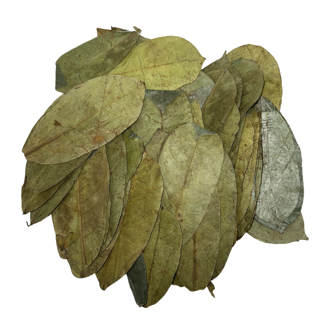 Herb to Body Organic Soursop Leaves 50g 80 Count