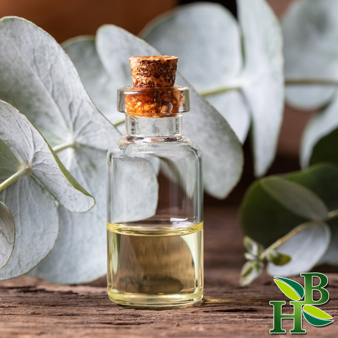 Herb To Body Eucalyptus Leaf Powder Finely Milled