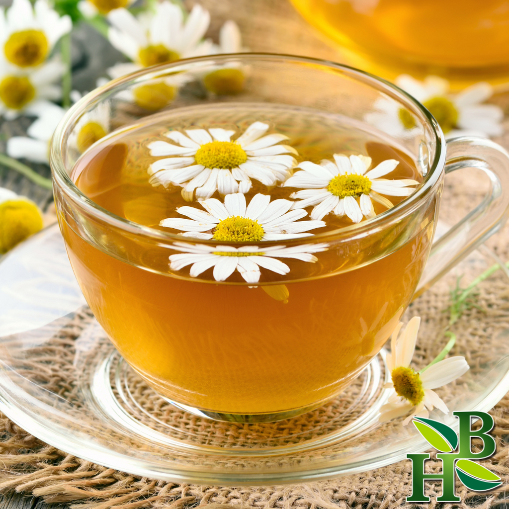 Herb To Body Whole Egyptian Chamomile Flowers Dried Botanical