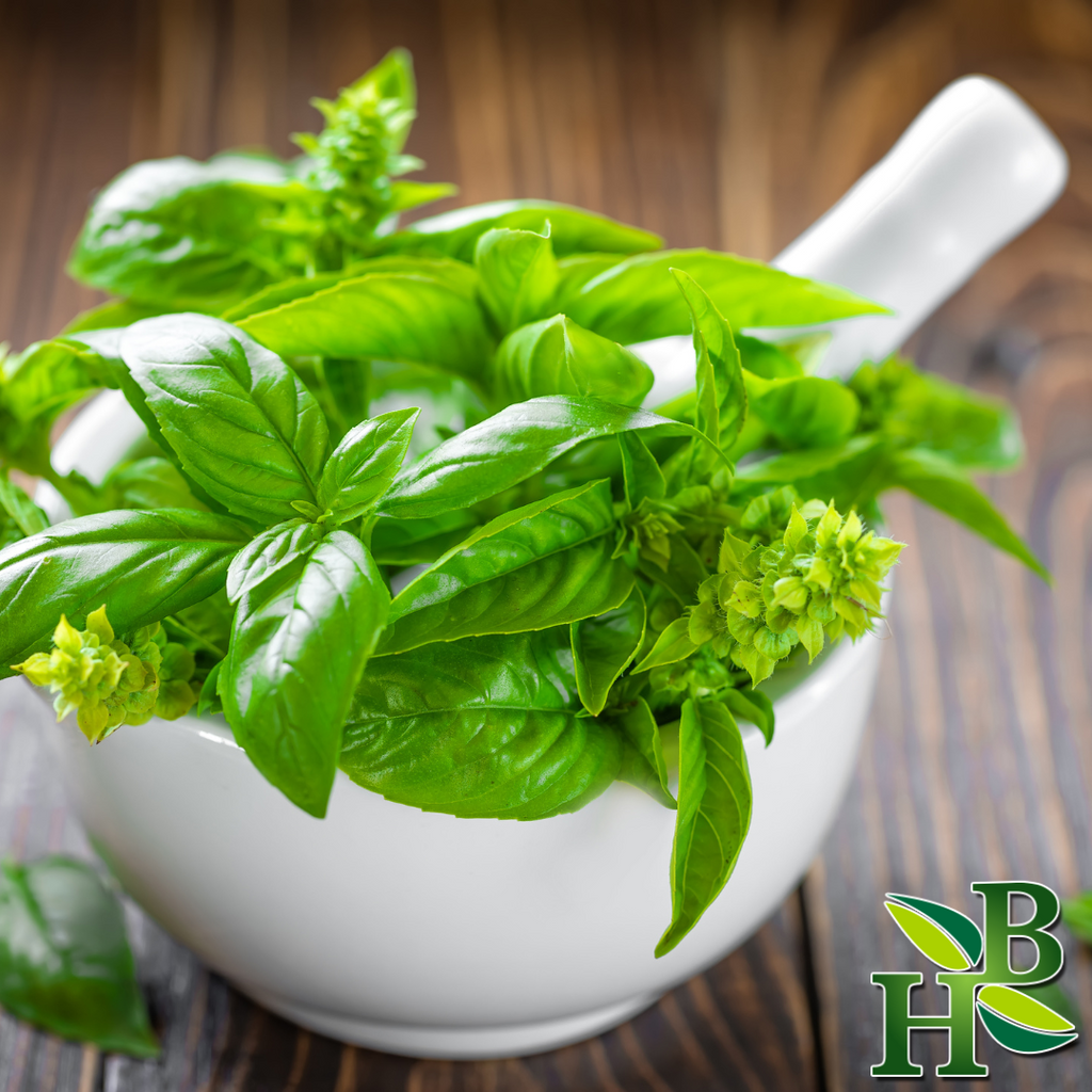 Herb To Body Basil Leaf Cut & Sifted Dried Herb 4oz