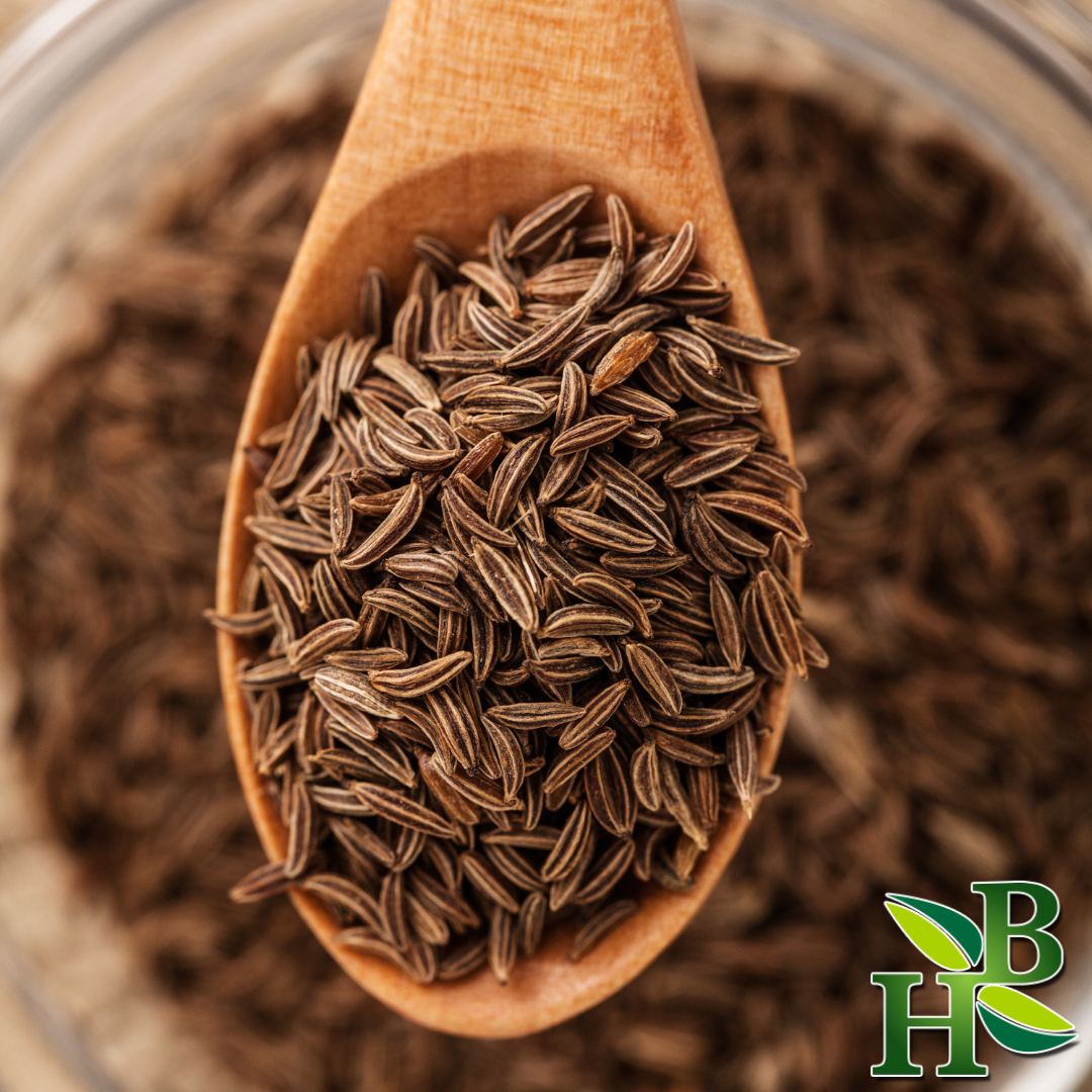 Herb To Body Caraway Seeds Whole Culinary Spice