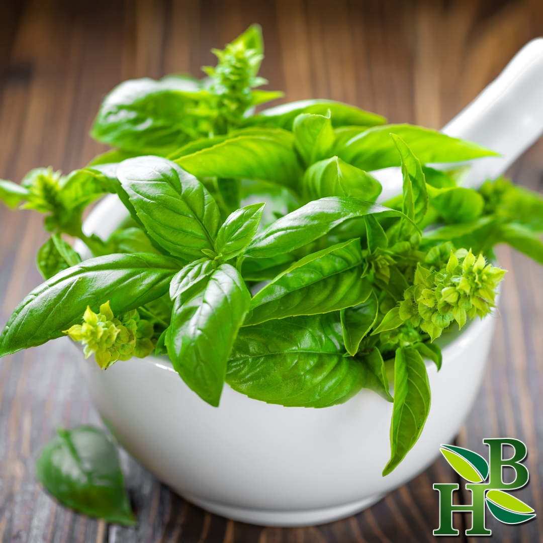 Herb To Body Basil Leaf Powder 4 oz