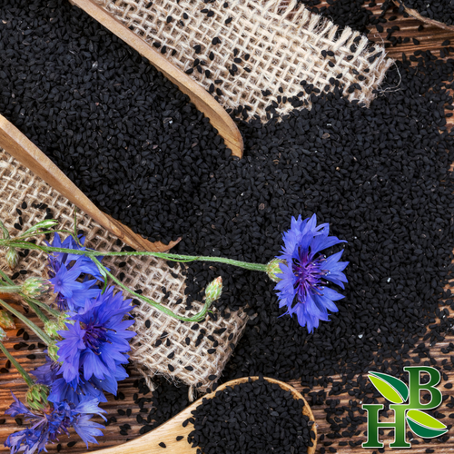 Black Seed Whole Nigella Sativa Organic 4 oz