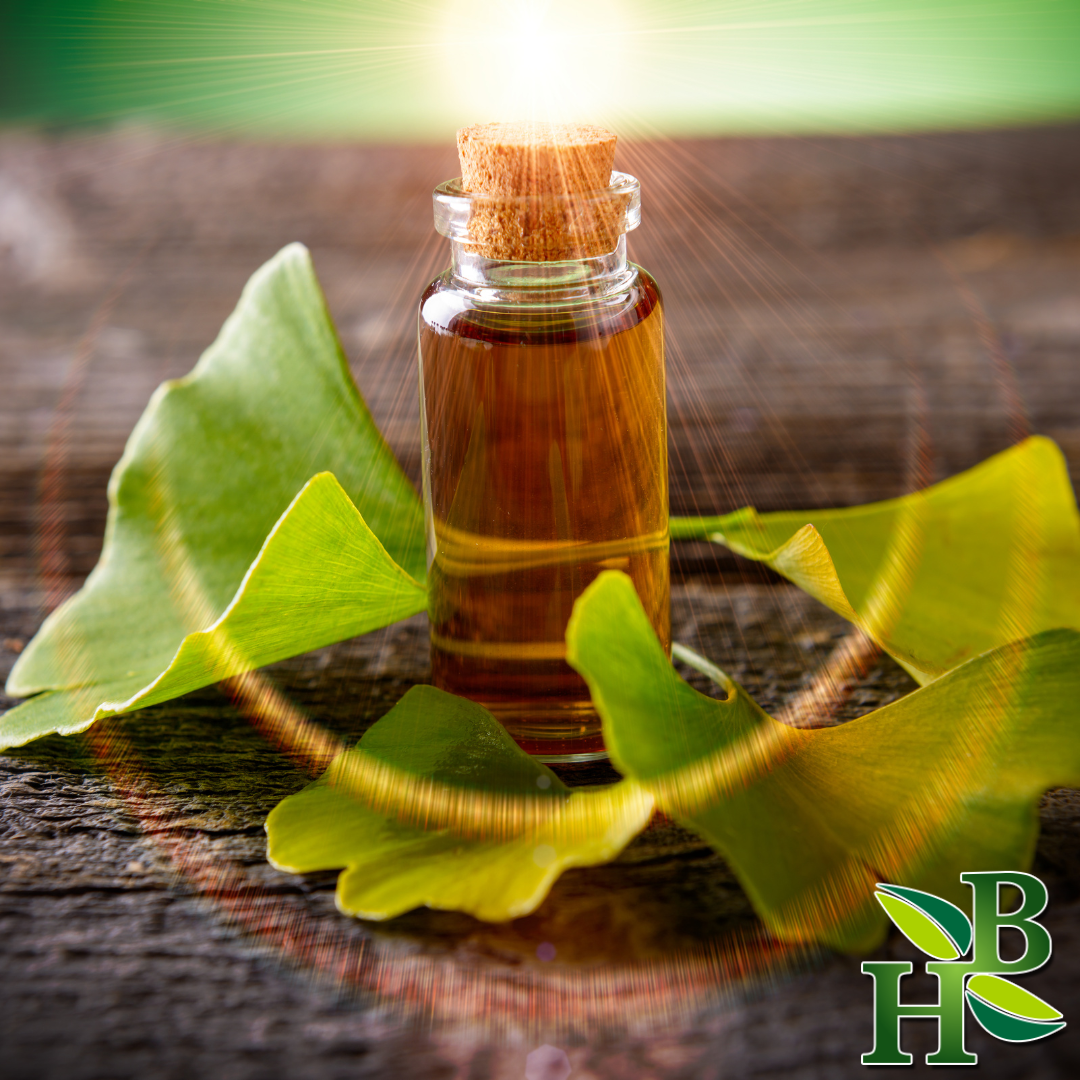 Herb To Body Ginkgo Biloba Leaf Cut And Sifted Herbal Supplement