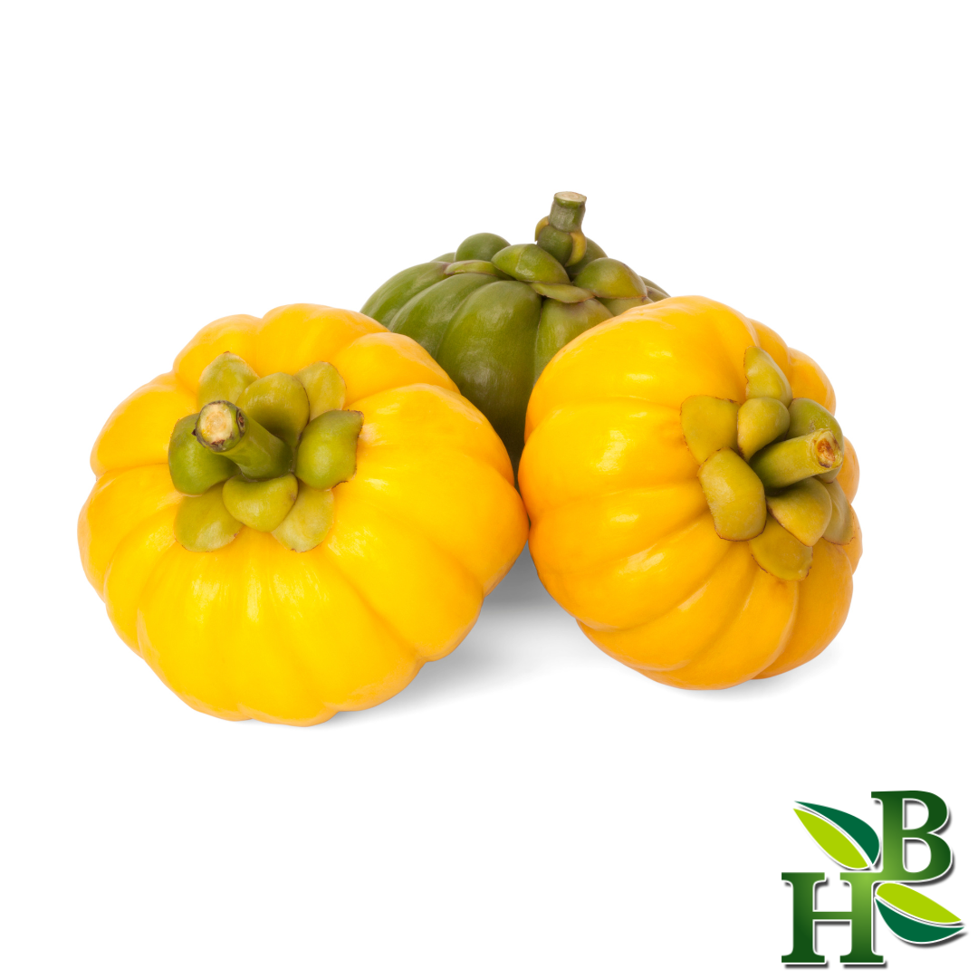 Herb To Body Pure Garcinia Cambogia Extract Powder Supplement