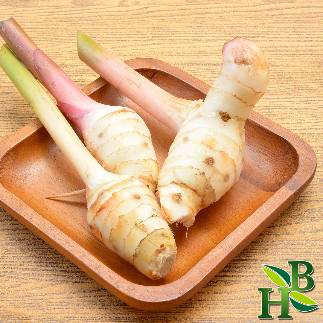 Herb To Body Galangal Root Cut & Sifted 4oz