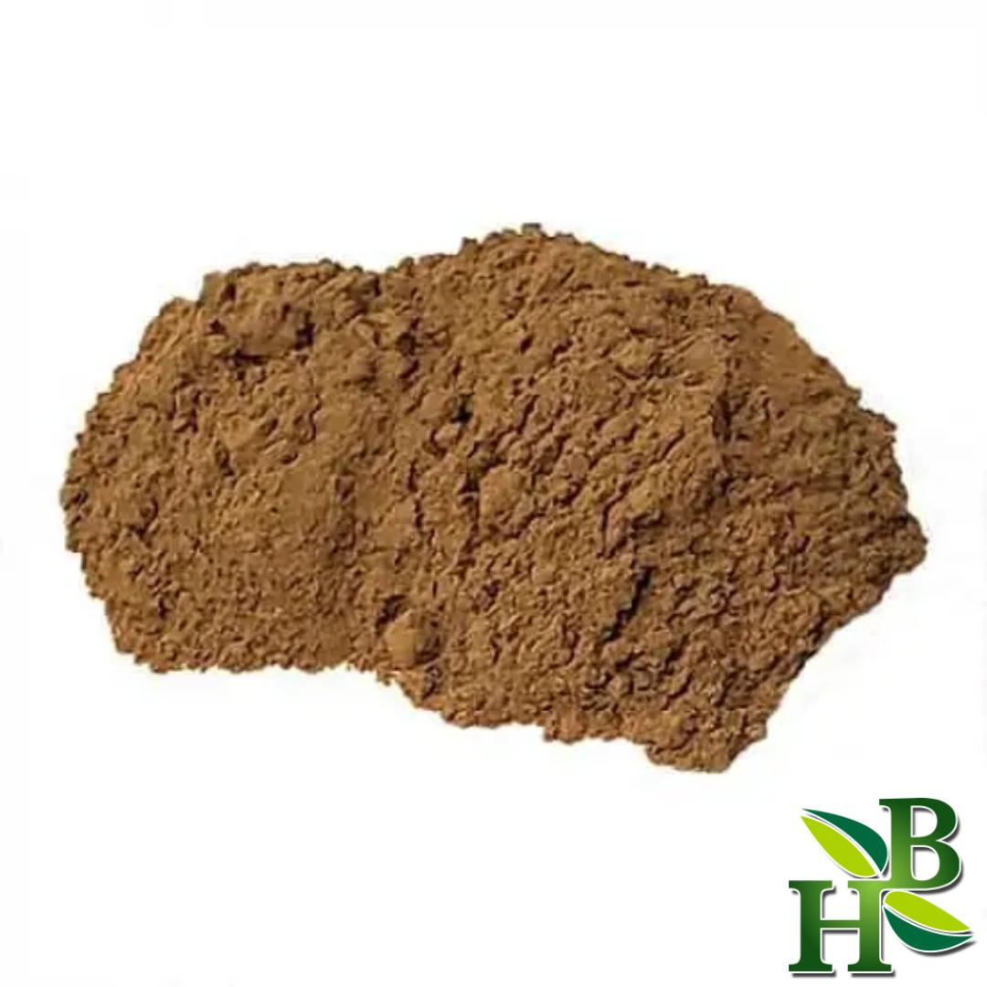 Herb To Body Bacopa Monnieri Powder 4oz Herbal Supplement