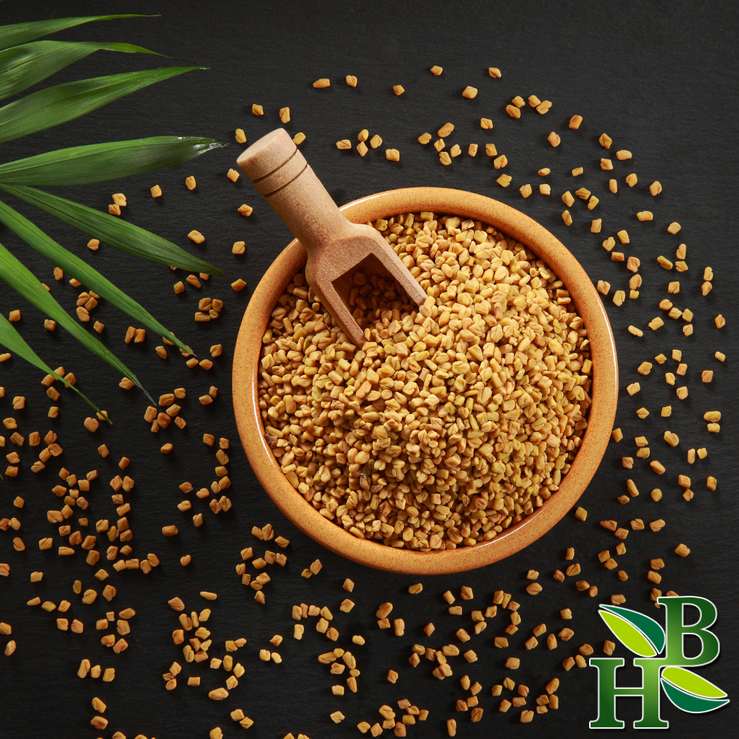 Herb To Body Whole Fenugreek Seeds Premium Botanical