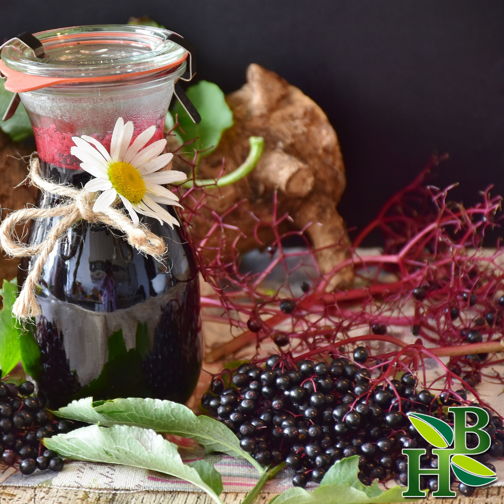 Elderberries Sea Moss Botanical Powder Supplement 8oz
