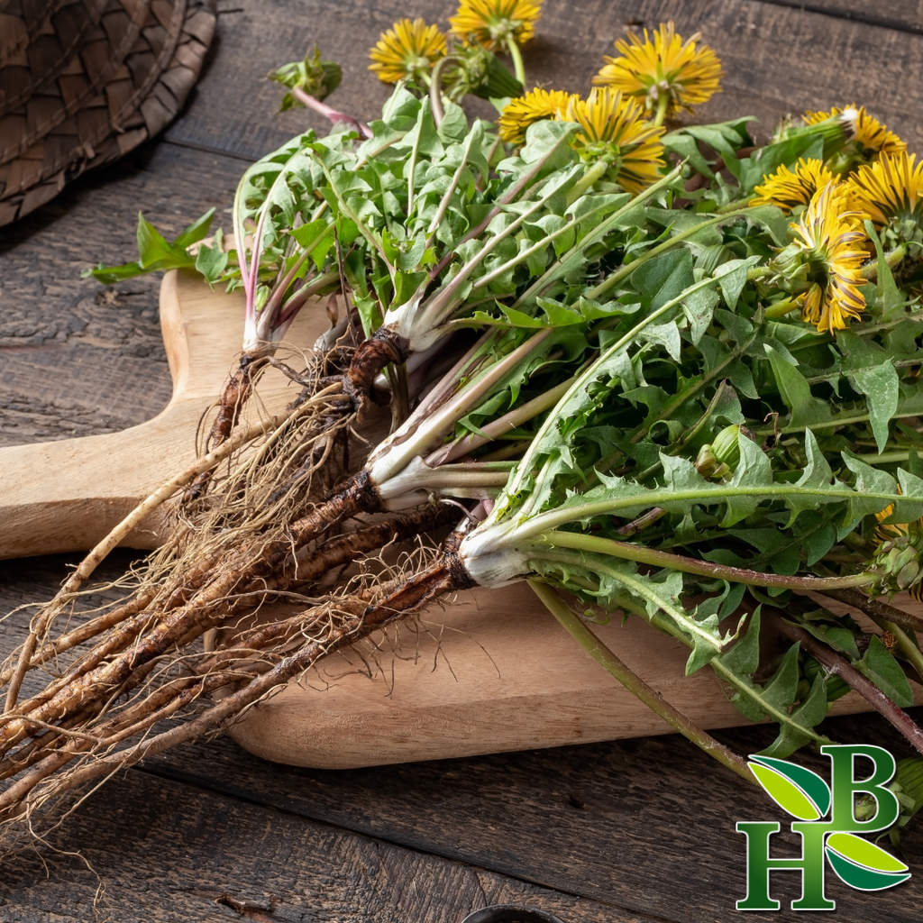 Herb To Body Dandelion Root Powder Taraxacum Officinale