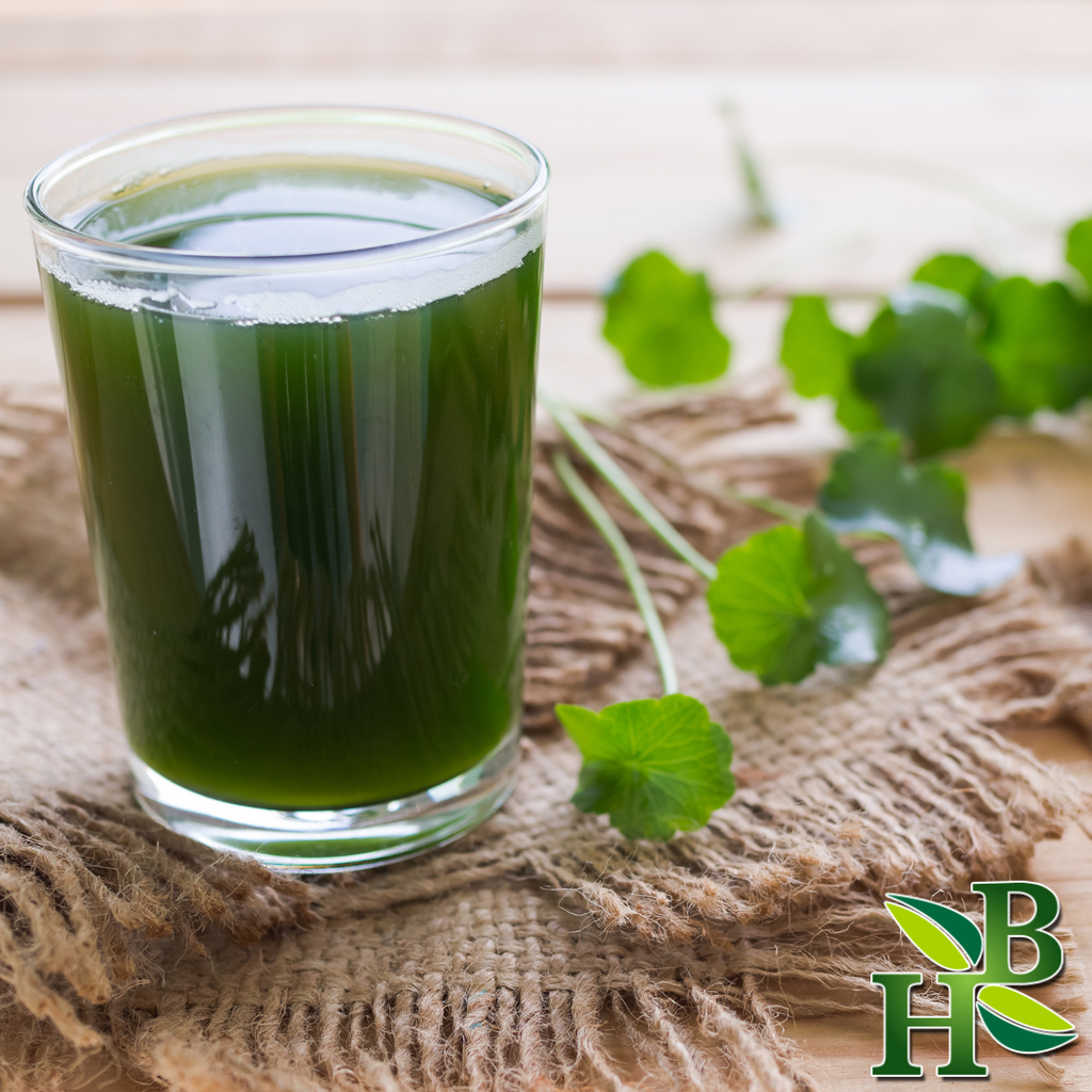 Herb To Body Gotu Kola Herb Powder Centella Asiatica
