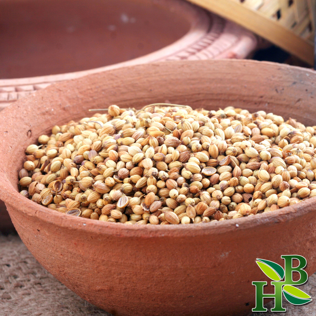 Herb To Body Whole Coriander Seeds Dried Spice 4 oz