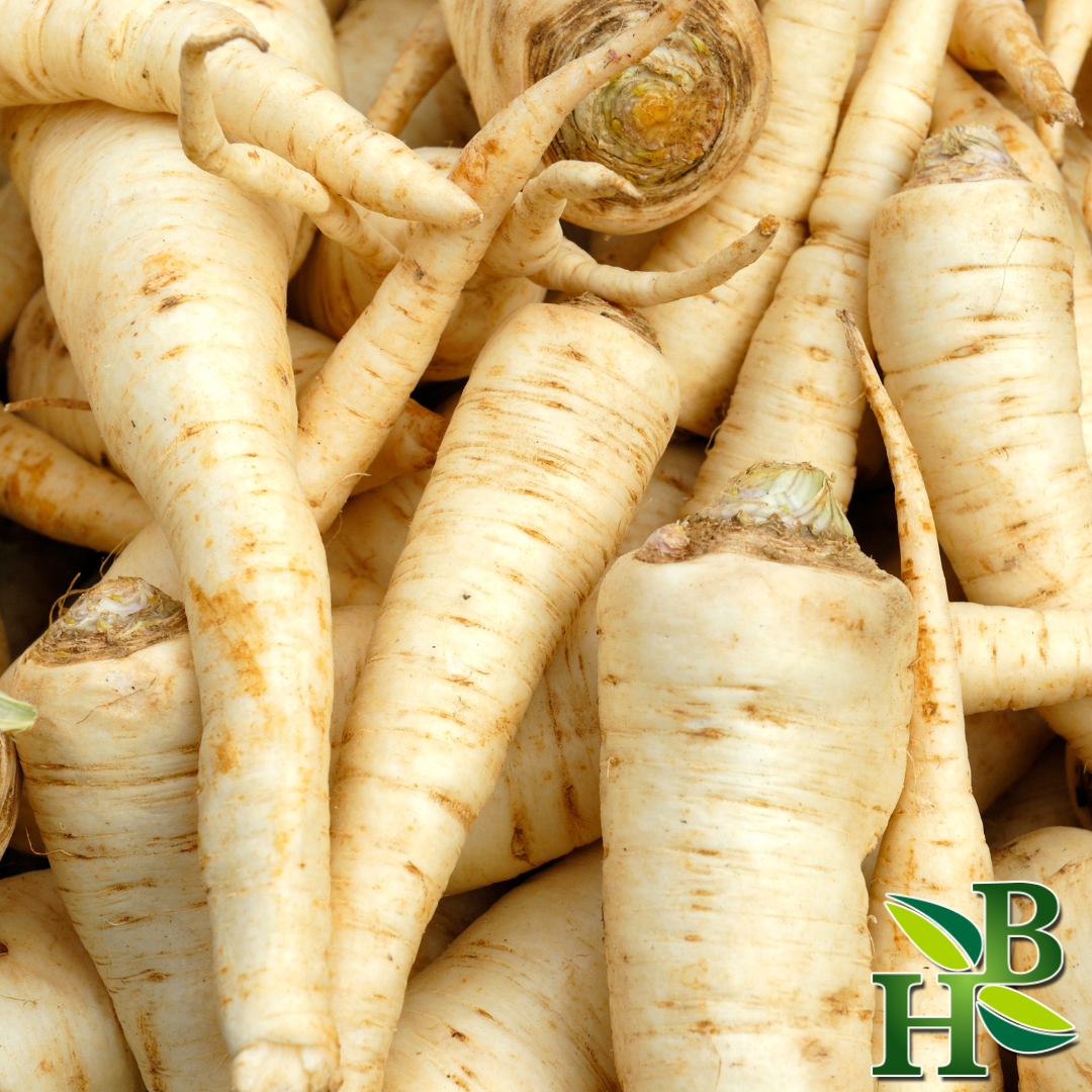 Herb to Body Parsley Root Cut and Sifted 4 oz