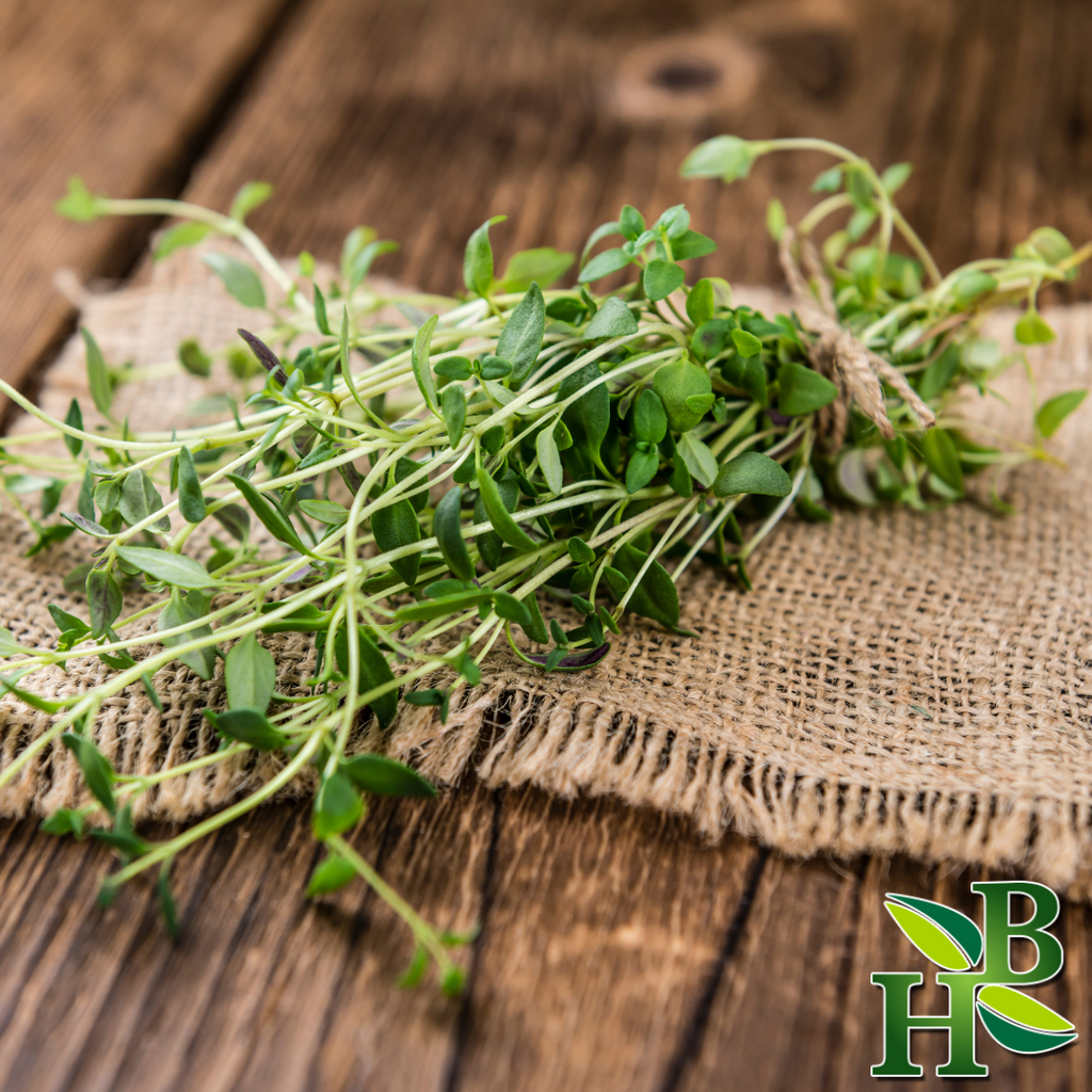 Herb To Body Dried Thyme Leaf Powder 4oz and 1lb
