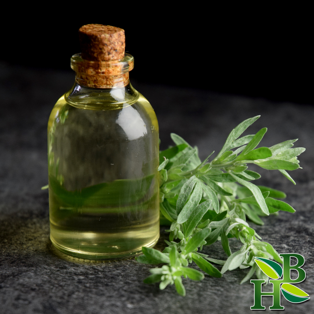 Wormwood Herb Powder Fine Artemisia Absinthium 4 oz
