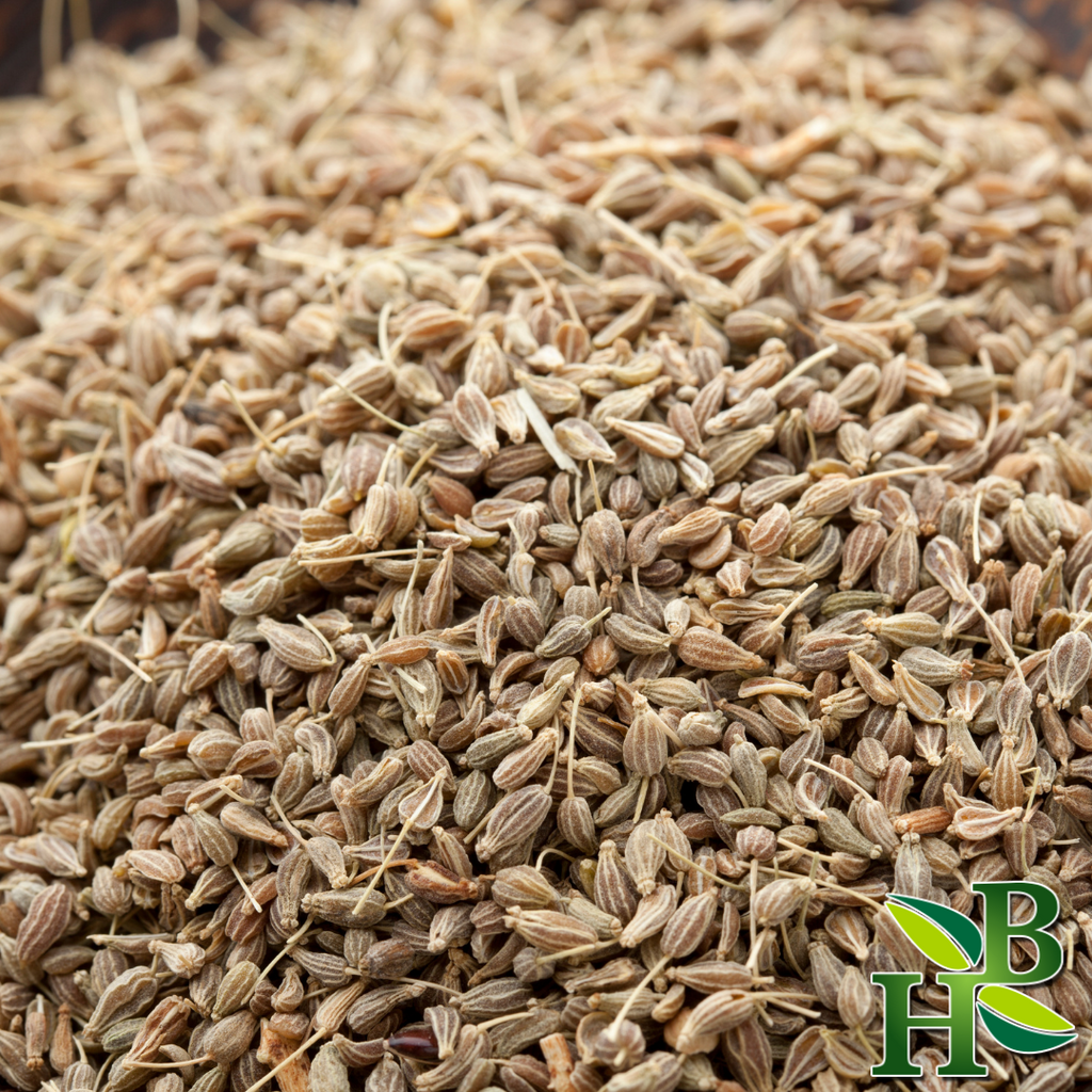 Herb To Body Anise Seed Whole Premium Spice 4oz