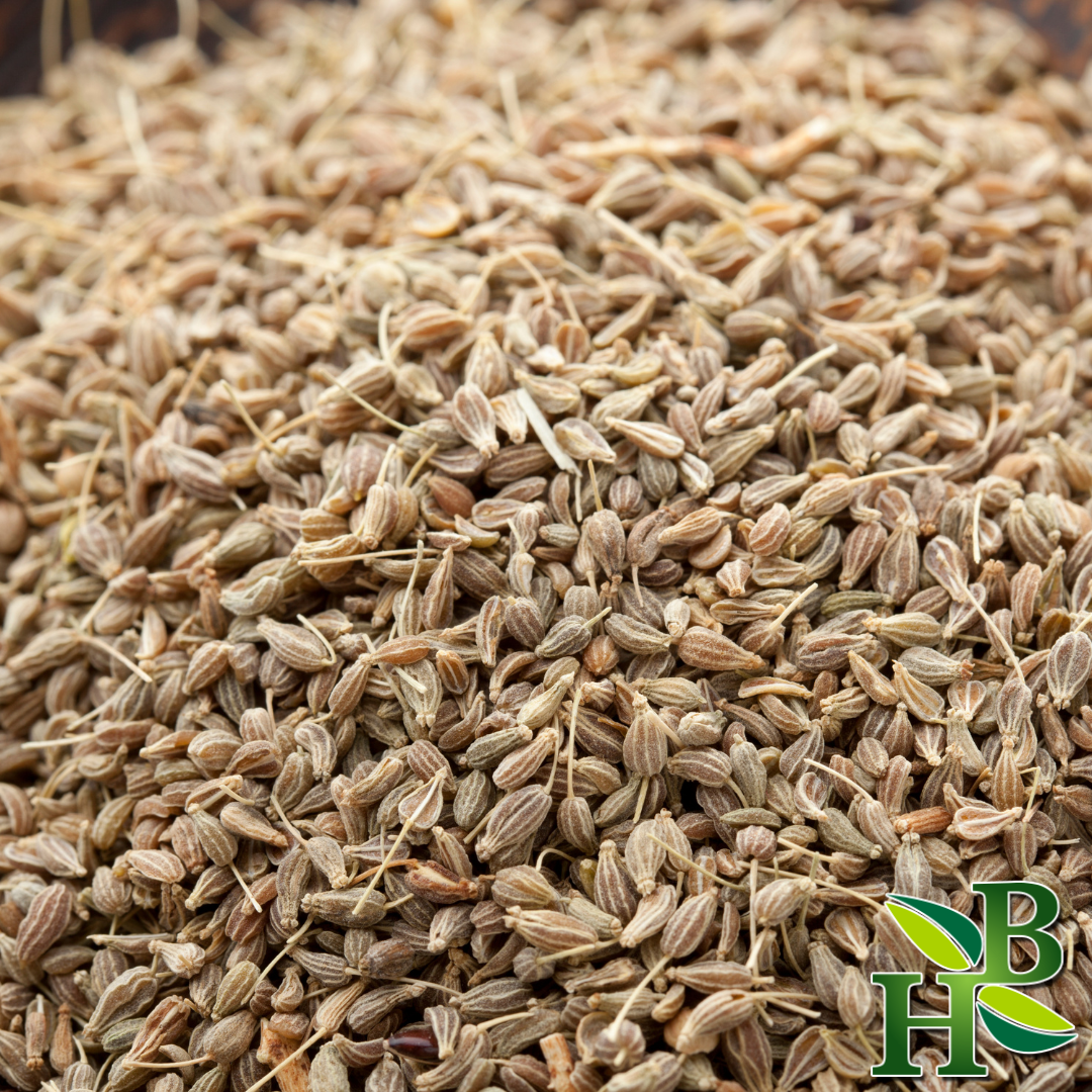 Herb To Body Anise Seed Whole Premium Spice 4oz