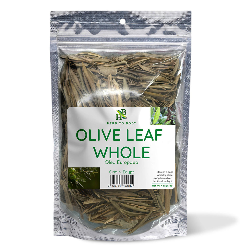 Herb To Body Whole Olive Leaf Dried Botanical 4oz