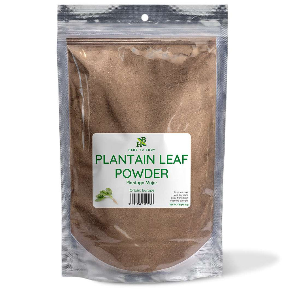 Herb To Body Plantain Leaf Powder European Broad